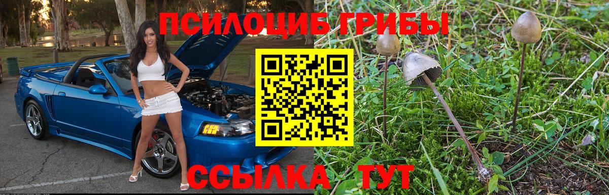 Псилоцибиновые грибы мухоморы Аргун